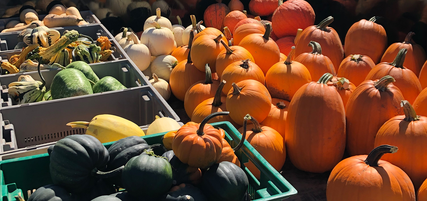 Produce Stone Hill Farms MN